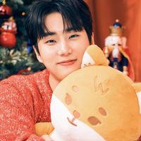 suara asli - youngkshinelikeastar