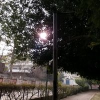 original sound