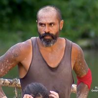 survivorteamm