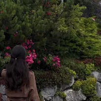 original sound - shmarii25