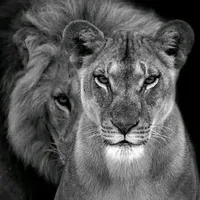 original sound - daniela.lopez.i