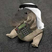 sir_cocodrilo