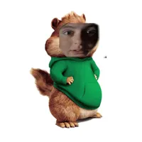 Anyone who uses this sound is gay