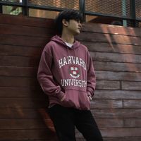 suara asli - Jerry Lubis