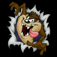 lujo_y_esplendor_estudio