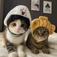 bowkymeow