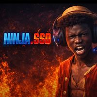 ninja_ssd