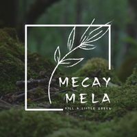 mecaymela.greenworld
