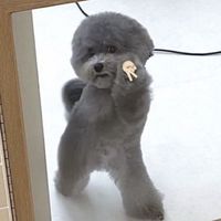 オリジナル楽曲 - 😽