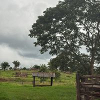 pecuarista.rj