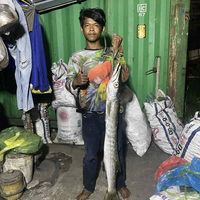 original sound - 🦑អ្នកប្រម៉ាញ់ត្រីអង្រែ 🫵🏽🎣