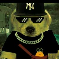 555_nacho5