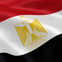 moamen.almaghraby.77