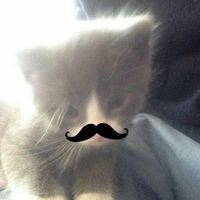 original sound - user5156575618141