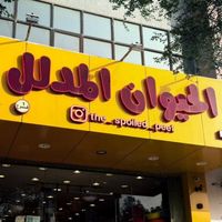 abood.basas