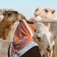 الصوت الأصلي