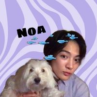 noa_0313_n