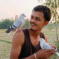 abhiableshff