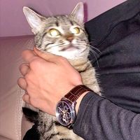 оригинальный звук