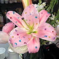 original sound - ptswnt