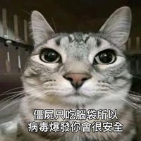 原聲 - 猫meme的抖音分享