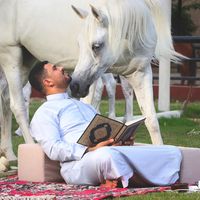 الصوت الأصلي