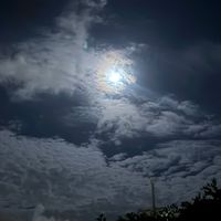 mandy_8818