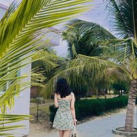 nhy.nguynn