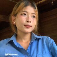 nhạc nền - cú mèo
