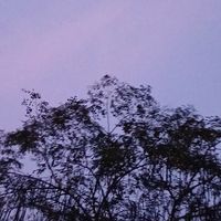 nhạc nền - ꒰ঌTư Tri໒꒱