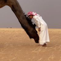 الصوت الأصلي