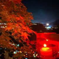 オリジナル楽曲 - K⃨.⃨I⃨☃️❄️