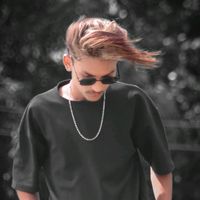 tigerbullet2