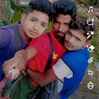 original sound - hcdddd