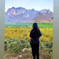 cherryshwe20
