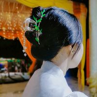 nhạc nền - Tâm Bạch 🤍