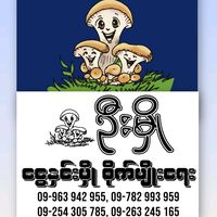 original sound - Oyster Mushroom