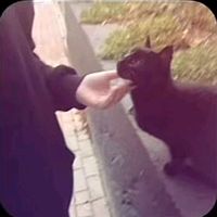 شعندك منتضر ستخدم الصوت