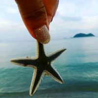 เสียงต้นฉบับ - @🦋23 พ.ย.🦋