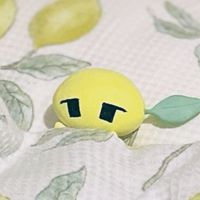 bitya_lemon12