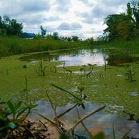 sokun838