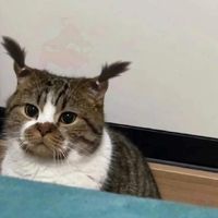 3ybe_