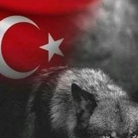 orijinal ses