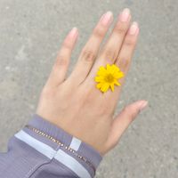 fabihatasnin