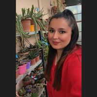 ozgecactus20