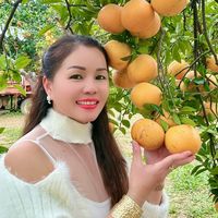 lyngocthanh29