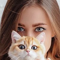 mimicats.ru