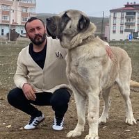 davutduran8