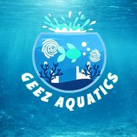 geezaquatics