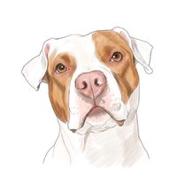anatpitbull.live